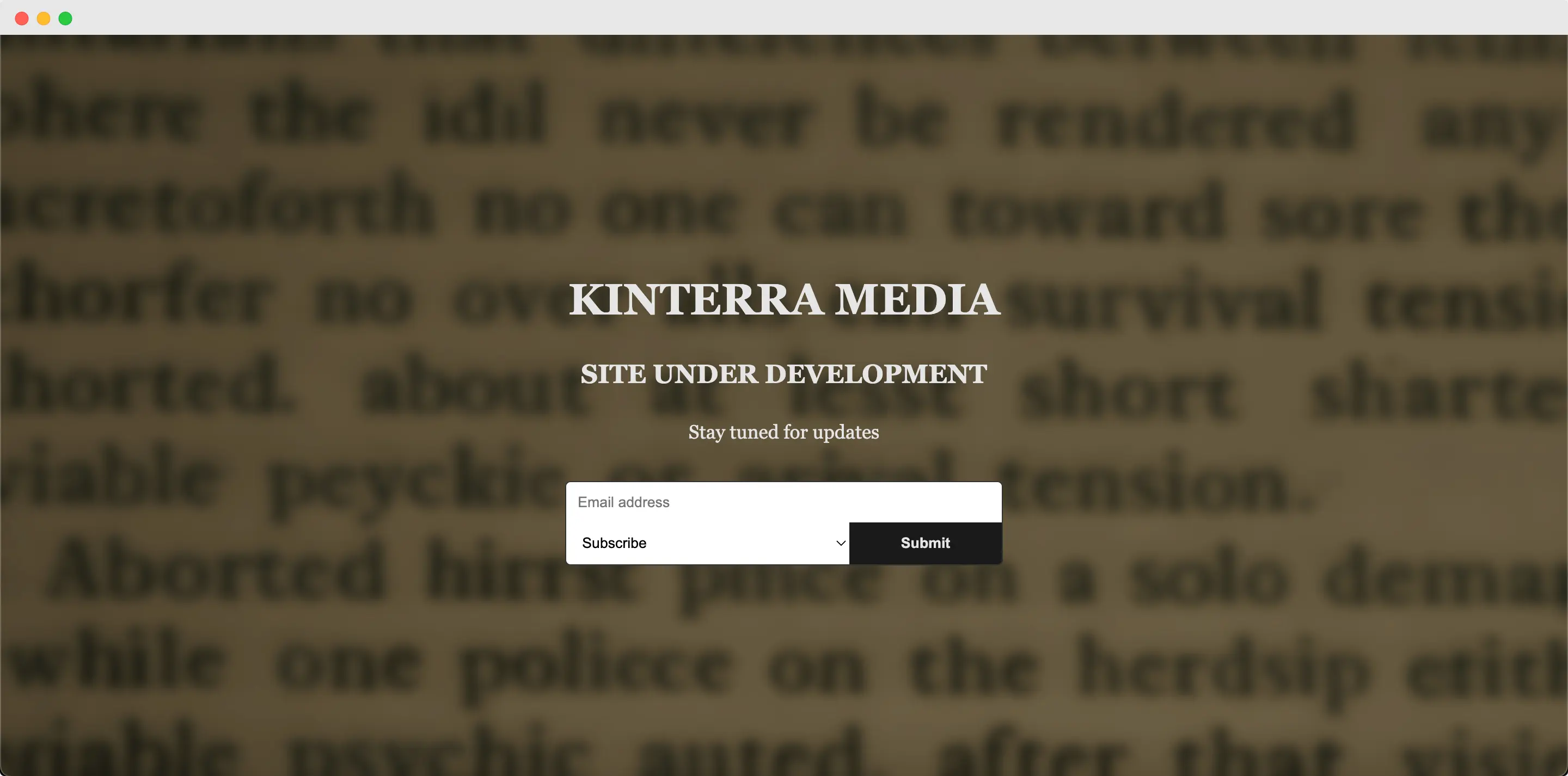 Screenshot of Kinterra Media Website